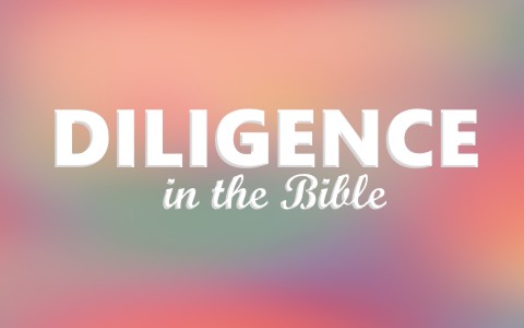 What Does The Bible Say About Diligence