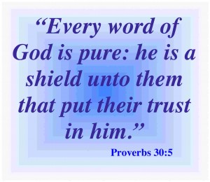 Trust Bible Quotes