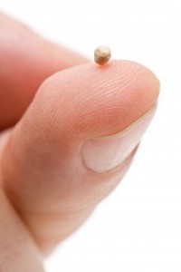 A mustard seed is only 1 to 2 millimeters which is about 1/64th of an inch!
