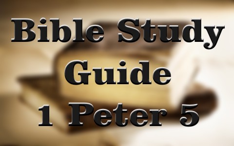 peter study bible guide church exhortation