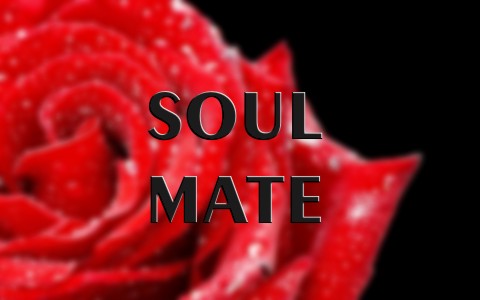 Is The Idea Of Having A Soul Mate Biblical