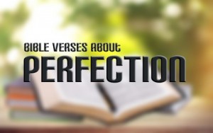 Top 7 Bible Verses About Perfection