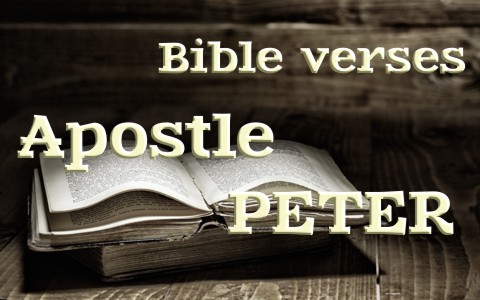 Top 8 Bible Verses About The Apostle Peter