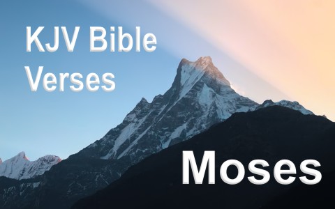 50 Key KJV Verses and Passages About Moses